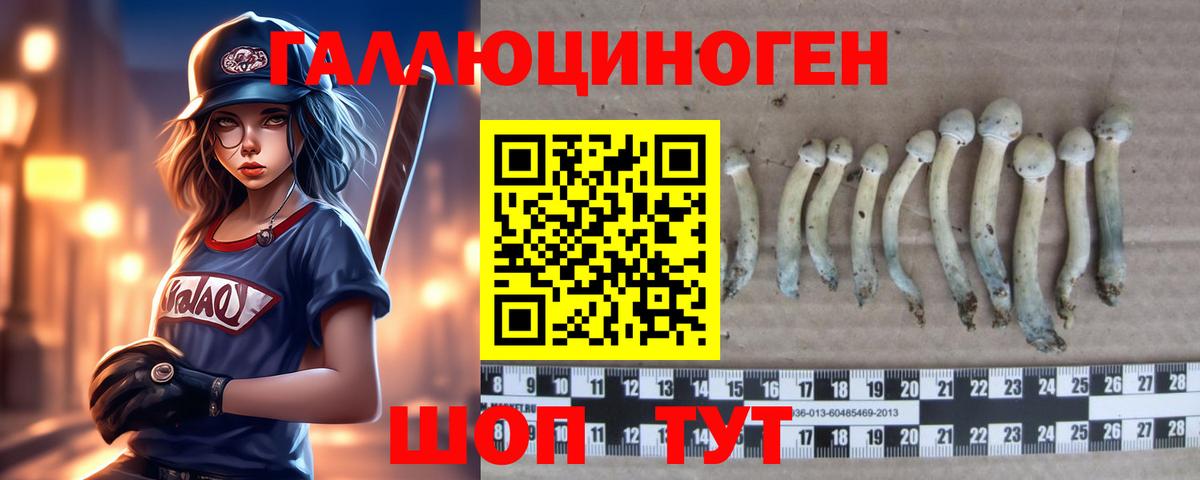 Псилоцибиновые грибы MAGIC MUSHROOMS  Вход с VPN  Артёмовский 