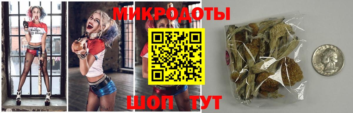 Галлюциногенные грибы GOLDEN TEACHER Артёмовский